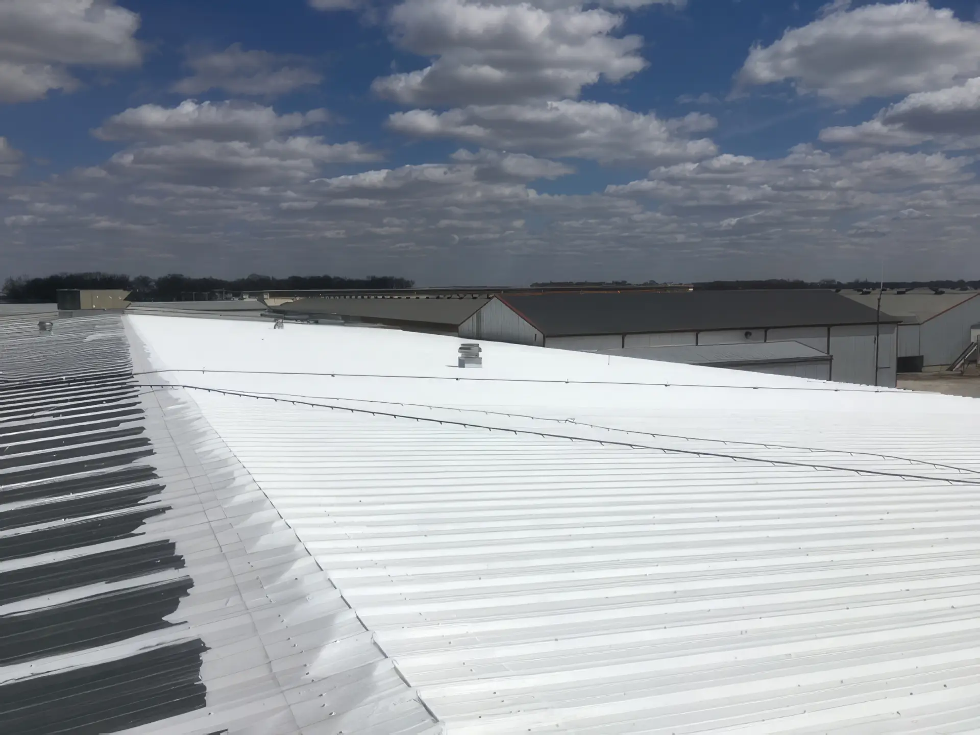 Rose Acre finished roof, agriculture, first coat